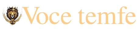 Logo da VOCETEMFE